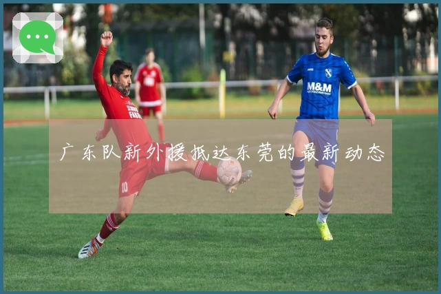 广东队新外援抵达东莞的最新动态